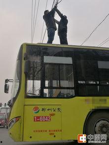 顶公交 视频 国产,视频展现国产品牌崛起风采