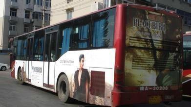 顶公交 视频 国产,视频展现国产品牌崛起风采