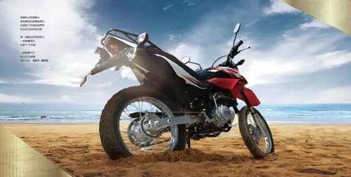 国产摩托车事件后续视频,真相大白，行业变革在即